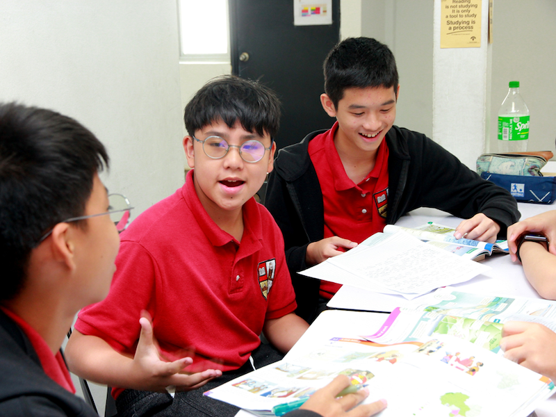 Home Schooling Students Discussing Homework